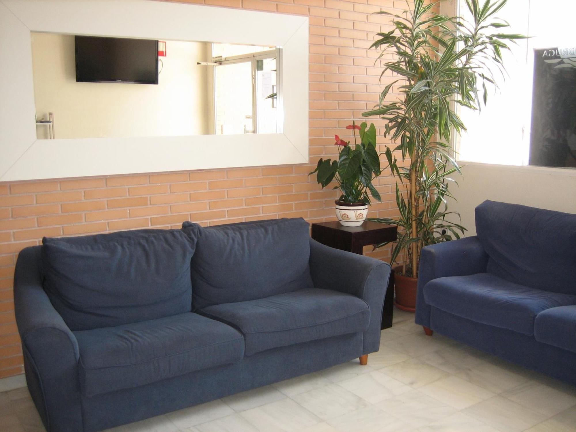 Hostal Madruga Elche Exteriör bild